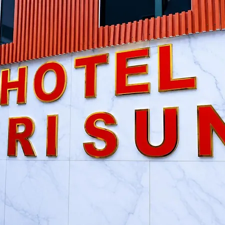 Отель Erisun